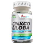 Ginkgo Biloba (60 капс.) - изображение
