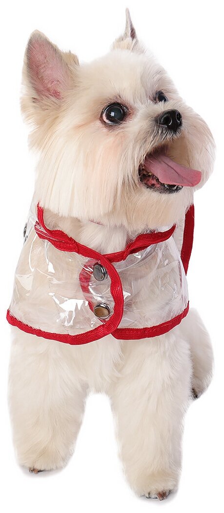 Дождевик для собак Монморанси "Дождевик прозрачный", цвет: красный, размер M, длина спины 26 см.