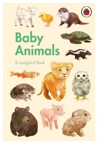 Ladybird Book: Baby Animals