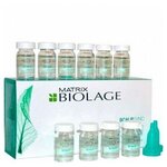 Matrix, biolage scalpsync aminexil - набор ампул против выпадения волос, 10 шт. х 6 мл. - изображение