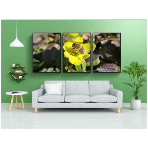 фото Набор модулных постеров для интерьера "пчела, насекомое, цветочная пыльца" 60x90 см. в тубусе, без рамки lotsprints