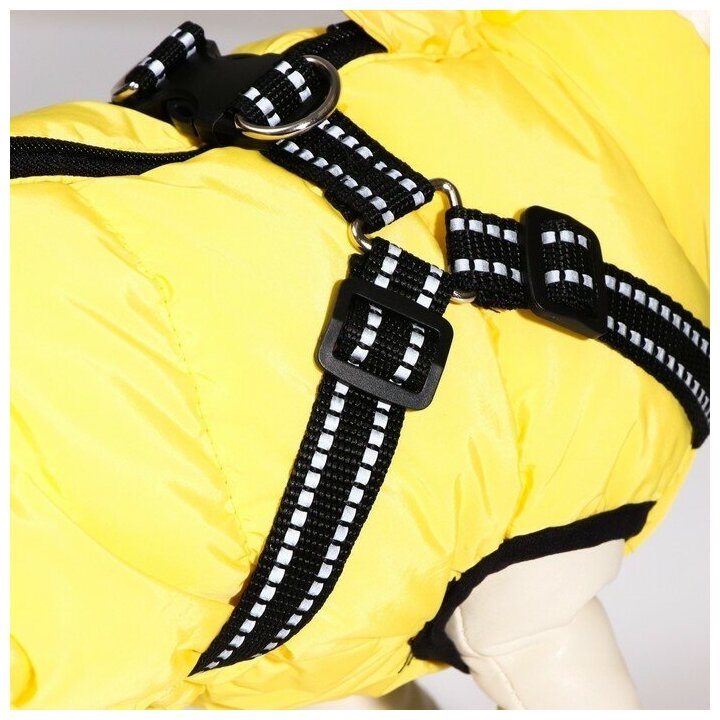 Куртка для собаксо шлейкой, размер 14 (ДС 32 см, ОГ 42 см, ОШ 31 см), лимонная - фотография № 7