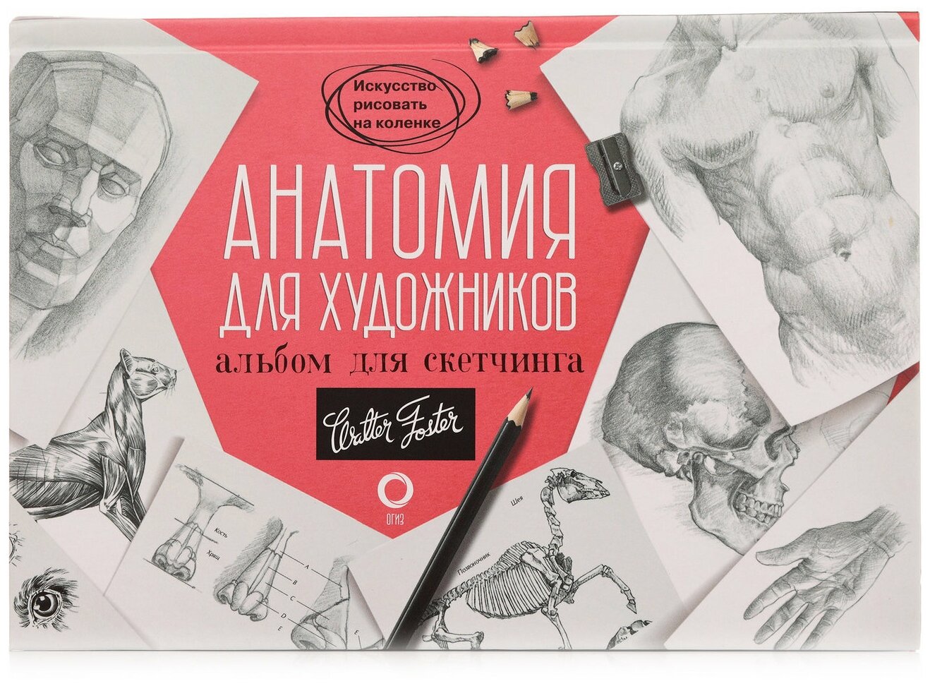 \"искусстворисоватьнаколенке анатомия для художников. альбом для ...