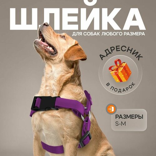 Шлейка для собак мелких и средних пород фиолетовая, размер S, PetPaw