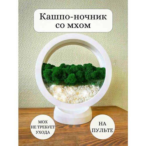 Кашпо - ночник со мхом 3900₽