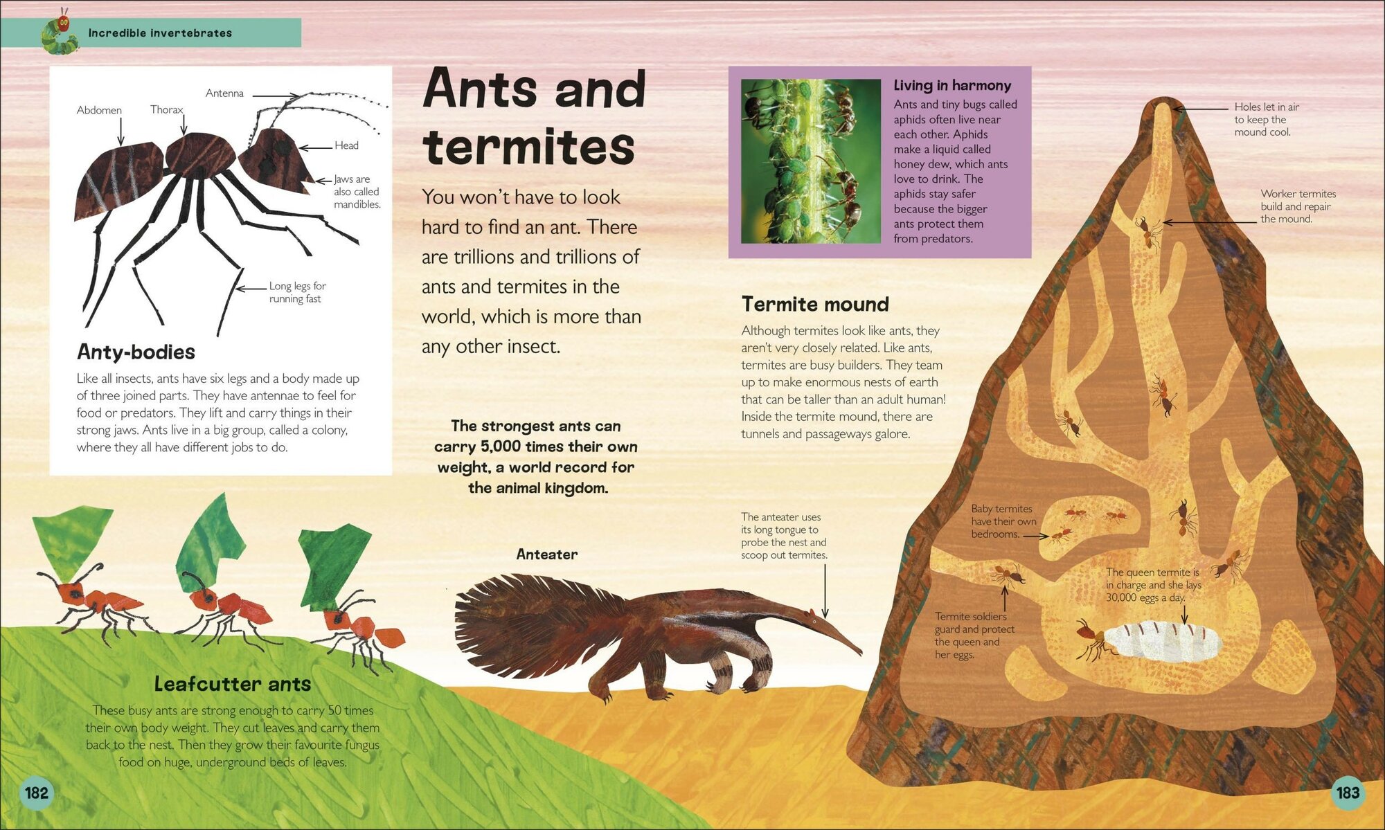 The Very Hungry Caterpillar's. Very First Animal Encyclopedia - фото №3