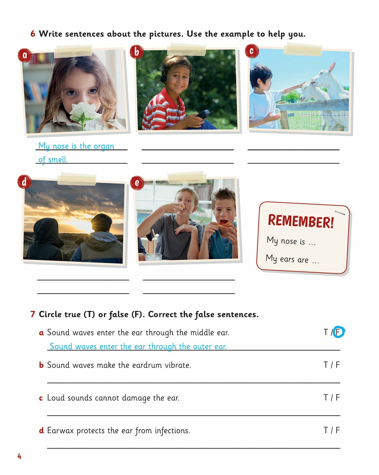 Science Skills. Level 3. Activity Book with Online Activities - фото №3