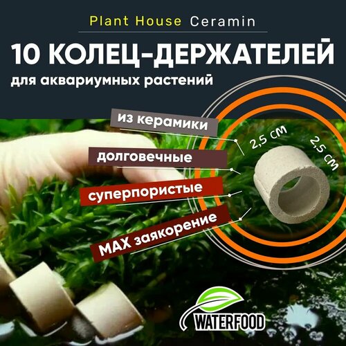 Керамические кольца-держатели Plant House Ceramin от Water Food (высота - 2,5 см, диаметр - 2,5 см), 10 шт.