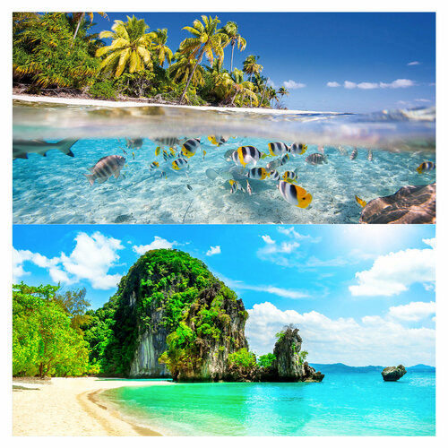 Фон для террариумов MCLANZOO Ocean двухсторонний 458х915см 424₽