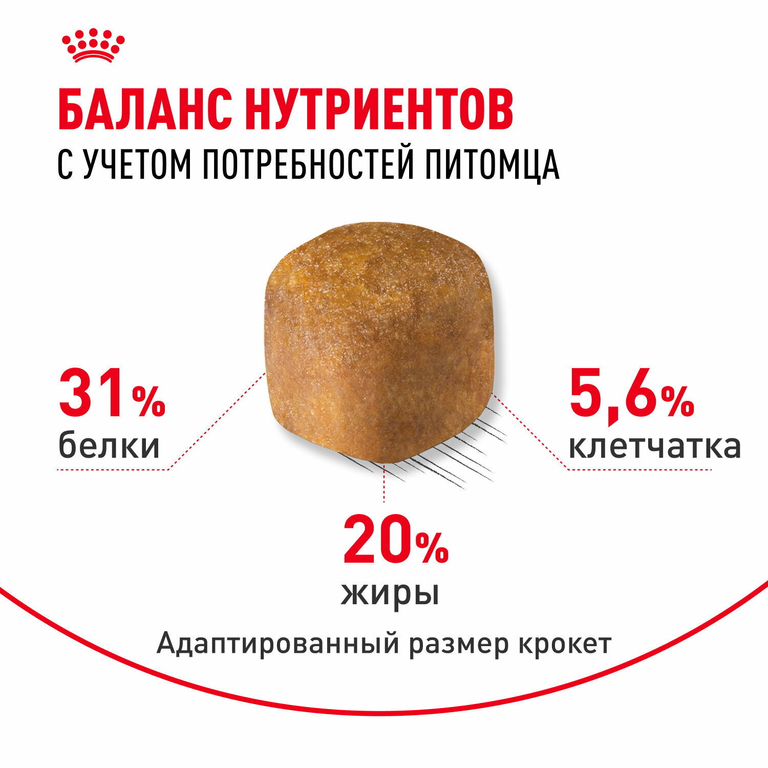 Корма Для Кошек Xiaomi Сухой корм для кошек Royal Canin Adult для породы мейн кун, 0,4 кг