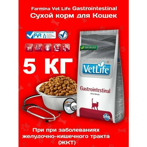 Farmina Vet Life Gastrointestinal - Сухой корм для кошек с проблемами ЖКТ - 5 КГ