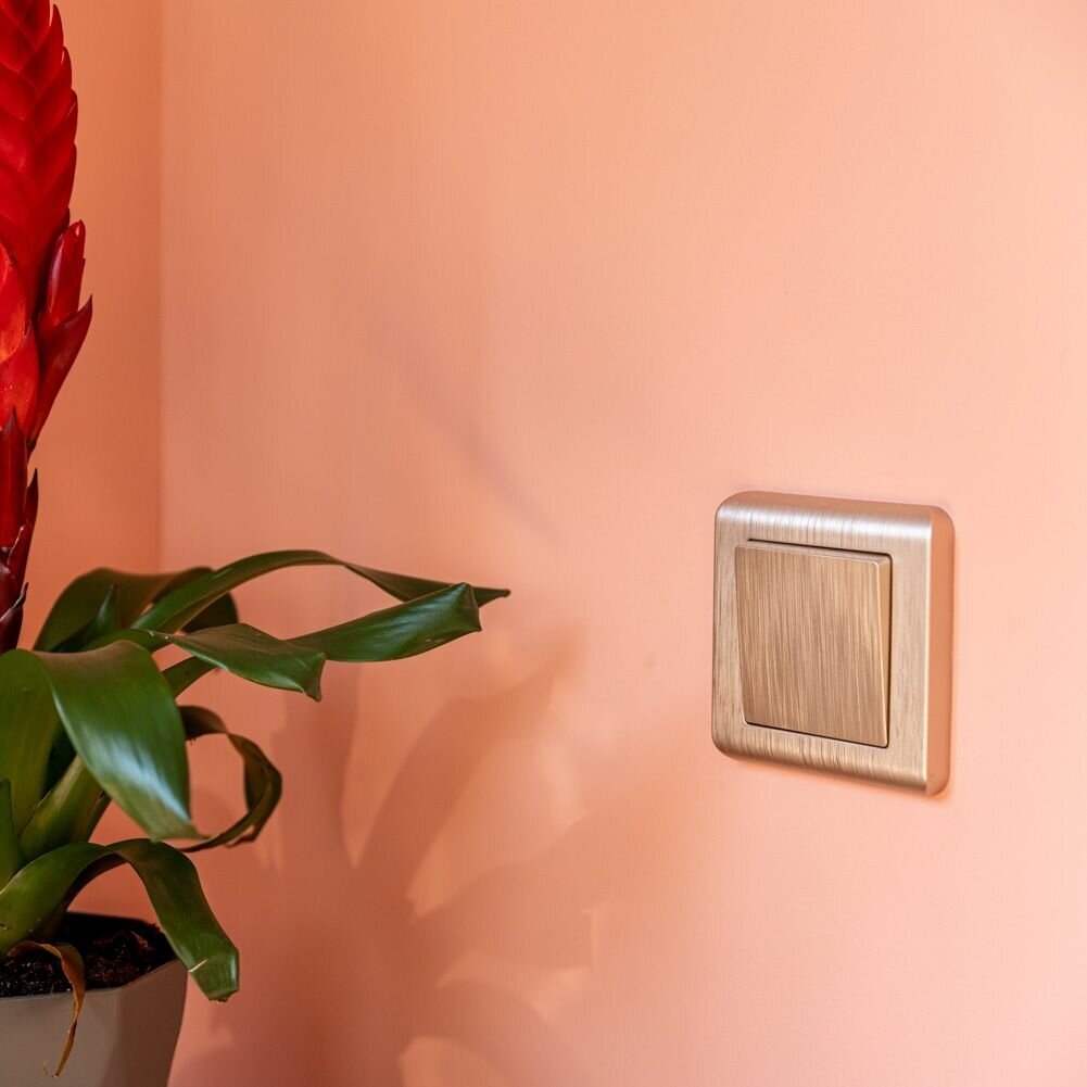 Рамка на 1 пост Werkel Stream (Шампань) — фото 1