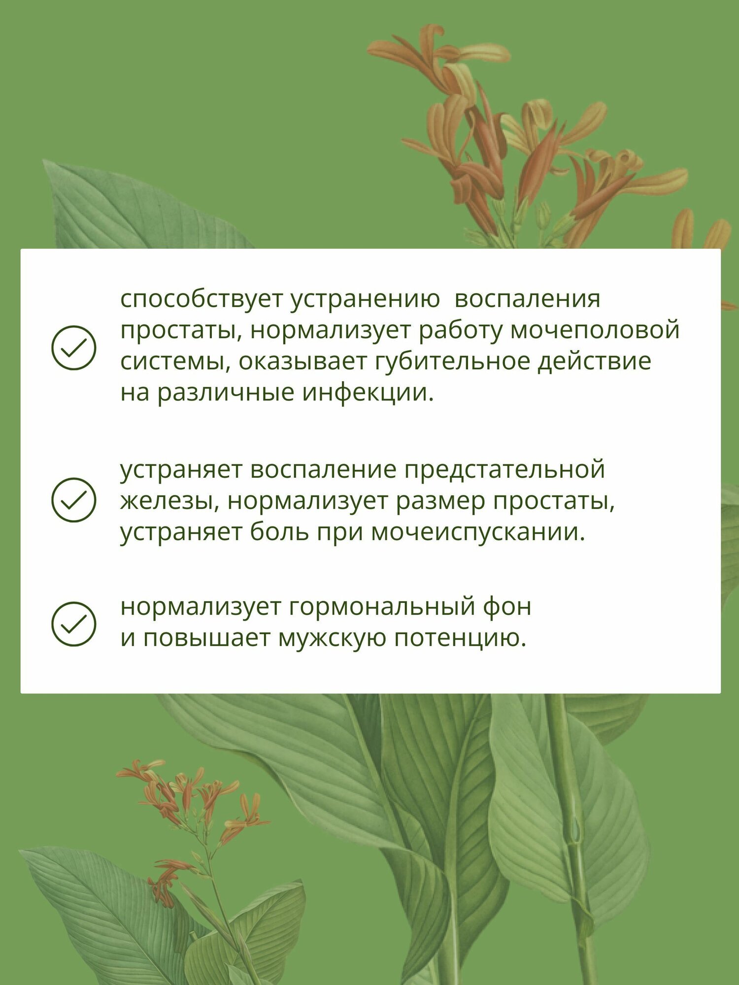 Картинки Травяной сбор мужской при простатите № 21 чай урологический при воспалении предстательной железы
