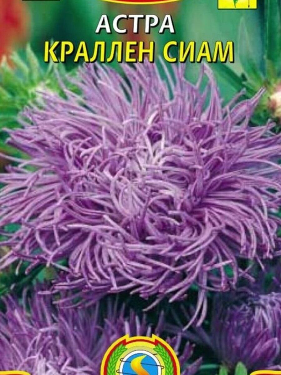 Семена Астра Краллен Сиам 03 гр Плазменные семена