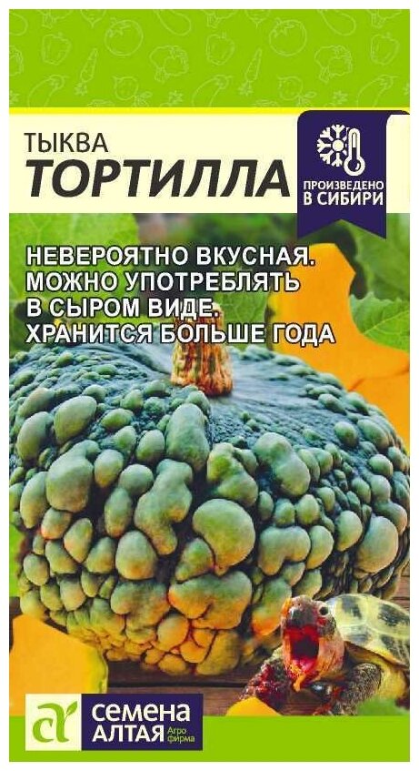 Семена Тыквы "Тортилла" ( 2 г)