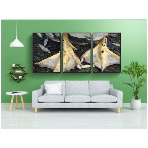 фото Набор модулных постеров для интерьера "утка, ласты, мысканка" 60x90 см. в тубусе, без рамки lotsprints