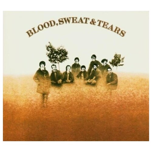 BLOOD, SWEAT  & TEARS - Blood, Sweat  & Tears