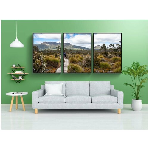 фото Набор модулных постеров для интерьера "сухопутным трек, тасмания, природа" 60x90 см. в тубусе, без рамки lotsprints