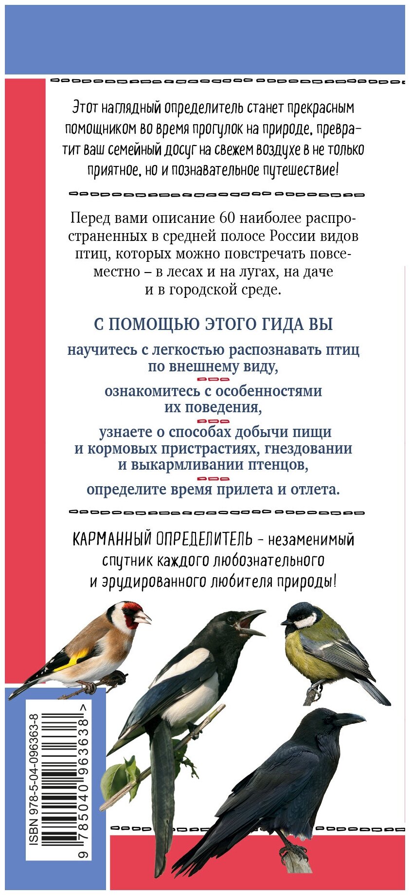 Птицы России. Наглядный карманный определитель - фото №2