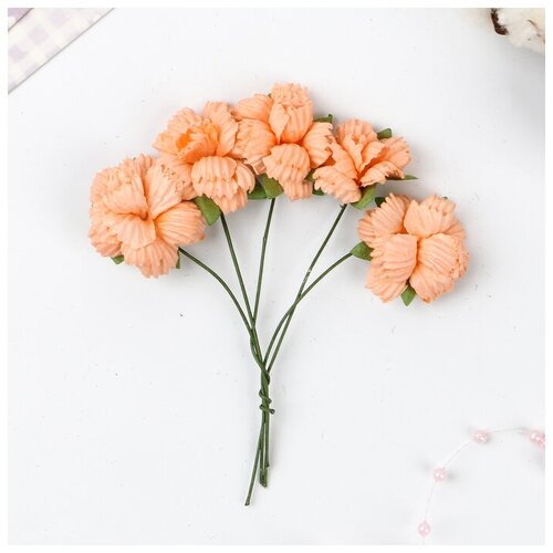 фото Гвоздики, набор 5 шт, диам 2,5 см, персиковые mikimarket