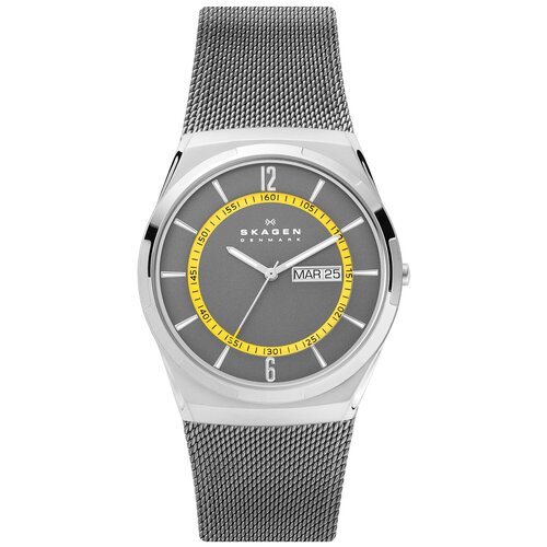 Мужские наручные часы Skagen SKW6789