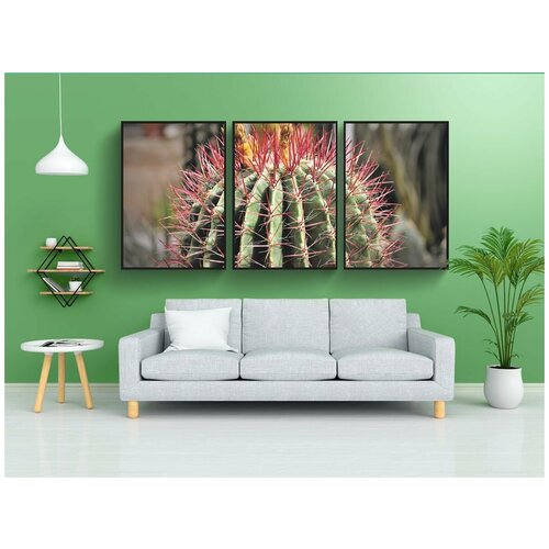 фото Набор модулных постеров для интерьера "кактус, колючий, пустынное растение" 60x90 см. в тубусе, без рамки lotsprints