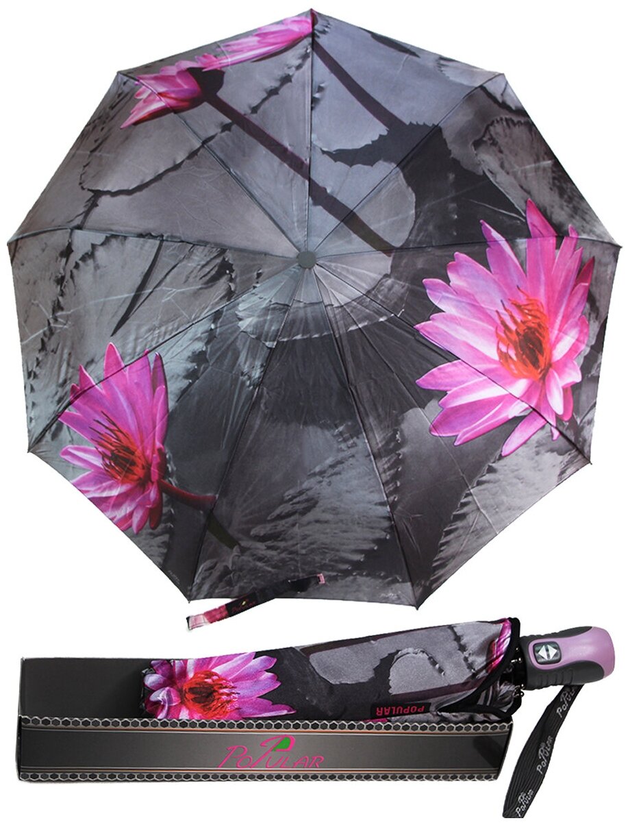    Popular Umbrella 1003/