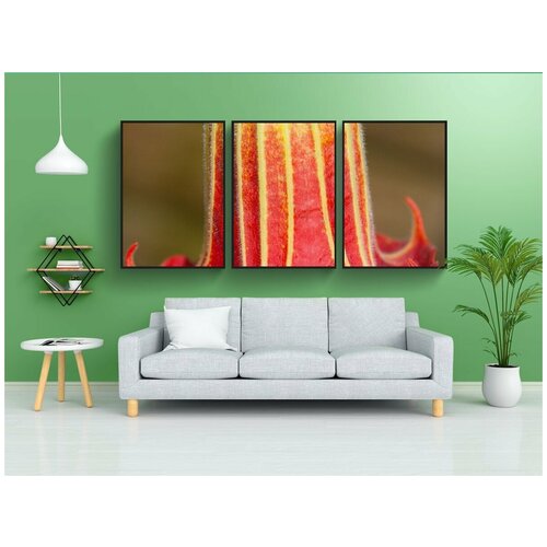 фото Набор модулных постеров для интерьера "цветок, завод, колоколообразный" 60x90 см. в тубусе, без рамки lotsprints