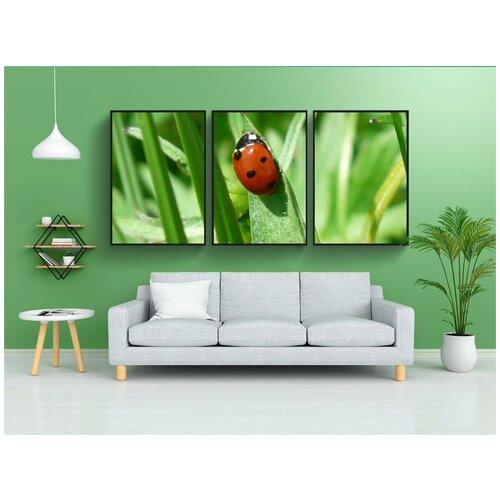 фото Набор модулных постеров для интерьера "божья коровка, жук, красный" 60x90 см. в тубусе, без рамки lotsprints