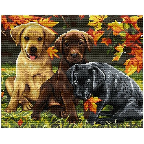 Набор для вышивки крестом NKF 