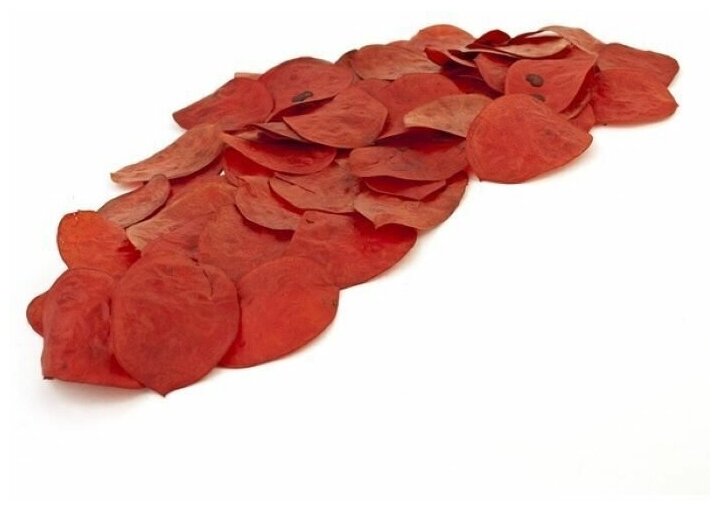 Сухоцвет листья лунарии Elitupak для декора 20 грамм в упаковке