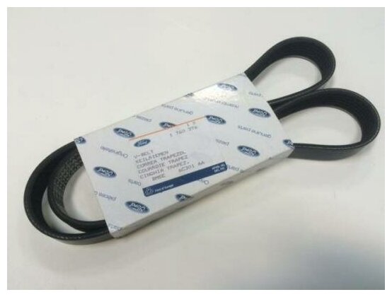 Ремень ГРМ Форд Фокус 2: замена своими руками