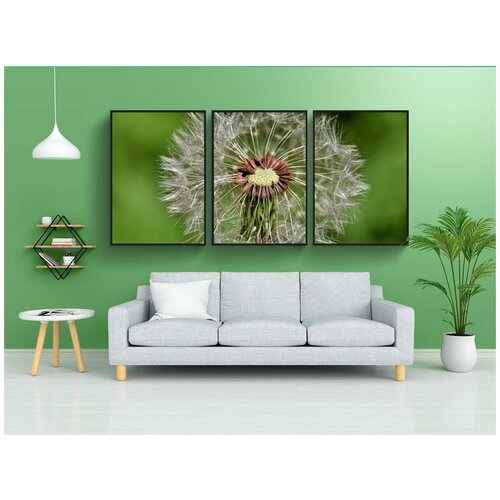 фото Набор модулных постеров для интерьера "одуванчик, семена, остроконечный цветок" 60x90 см. в тубусе, без рамки lotsprints