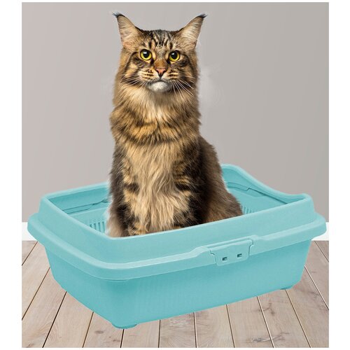 Большой лоток для кошек с бортом и сеткой / кошачий туалет / для животных / высокий борт / бежевый
