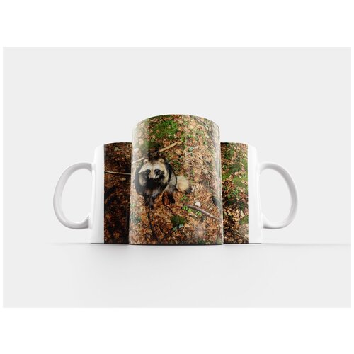 фото Кружка "енотовидная собака, животное, парк дикой природы" 320 мл lotsprints