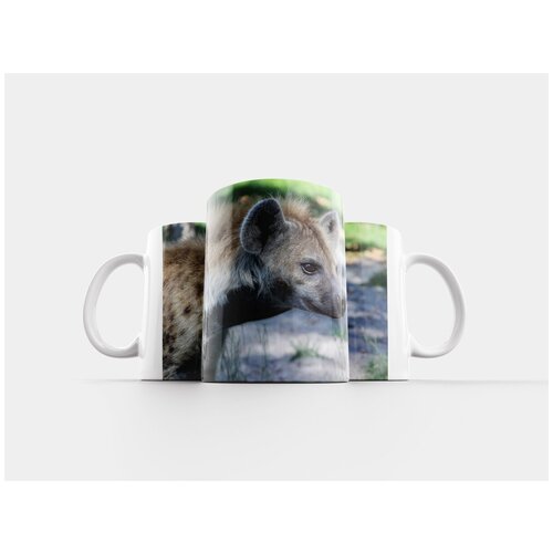 фото Кружка "сова, солнечная лампа, милый" 320 мл lotsprints