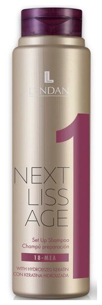 Базовый шампунь, 300 мл/ Next Liss Age Set-Up Shampoo, Lendan (Лендан)