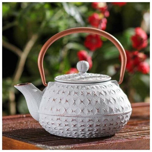 фото Чайник с ситом «самуи», 900 мл qwen