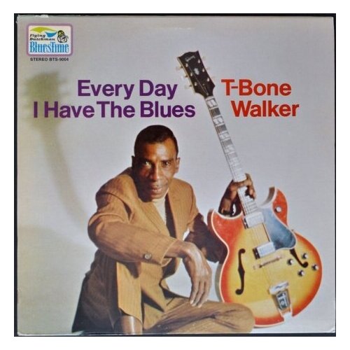 Компакт-диски, ACE, T-BONE WALKER - Every Day I Have The Blues (CD)