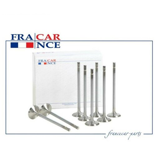 Наименование Клапан FRANCECAR FCR210768 выпуск Renault Laguna/Clio/Megane 1.4/1.6 16V 98- 28x5.5x107.5
