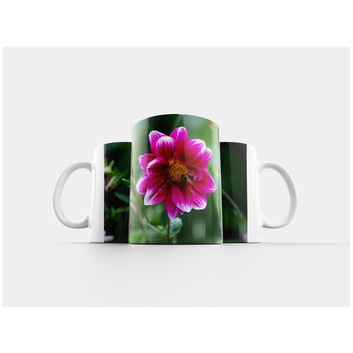 фото Кружка "природа, цветок, завод" 320 мл lotsprints