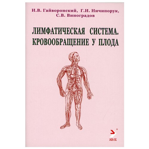 Лимфатическая система. Кровообращение у плода