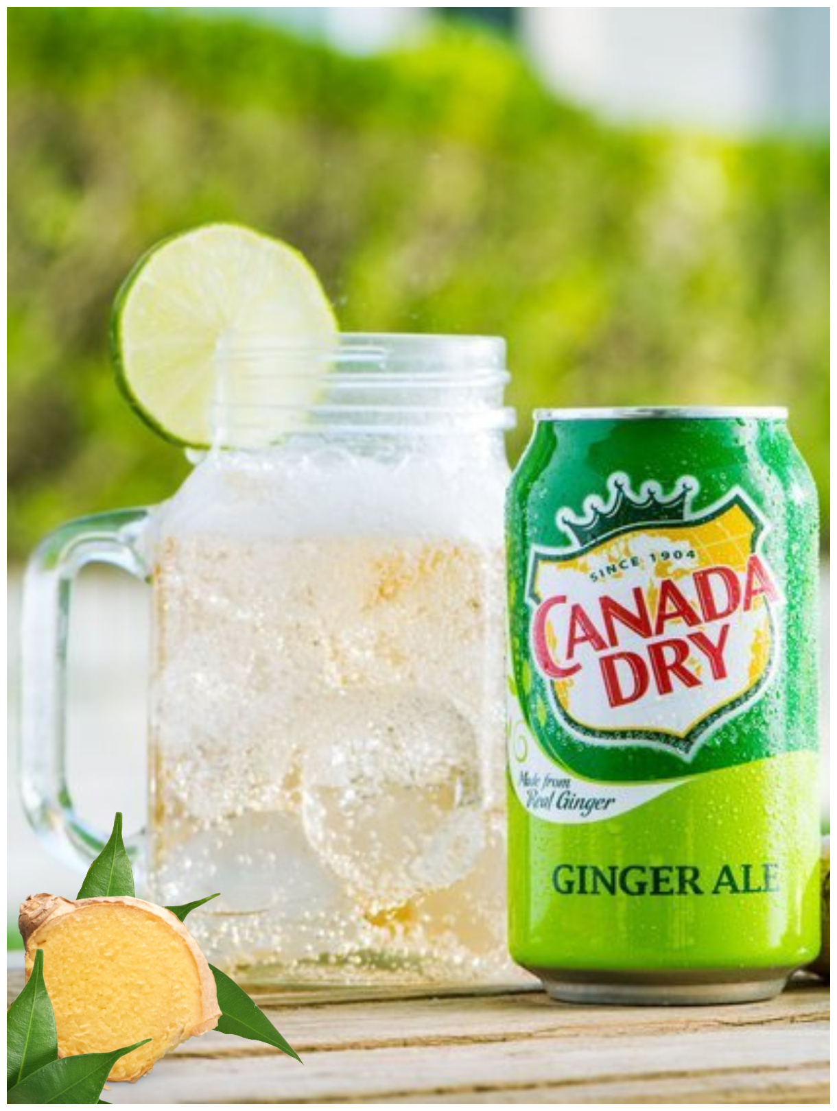 Canada Dry Ginger Ale 0.33л Упаковка 24 шт - фотография № 5
