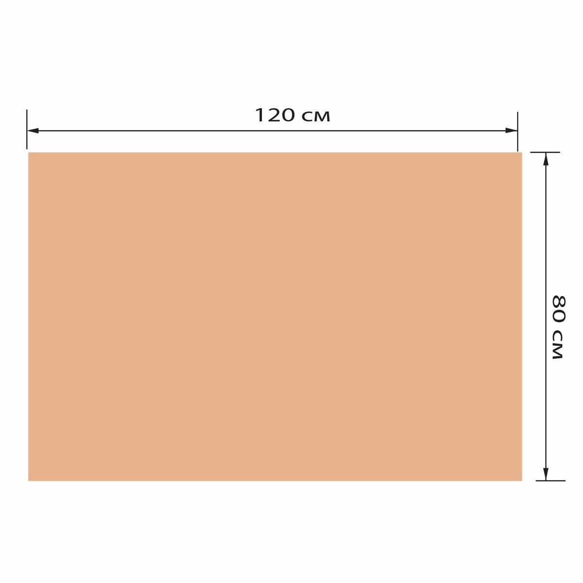 Гофролист картонный 800x1200мм, картон бурый Т22, профиль В, 1шт. (503213)