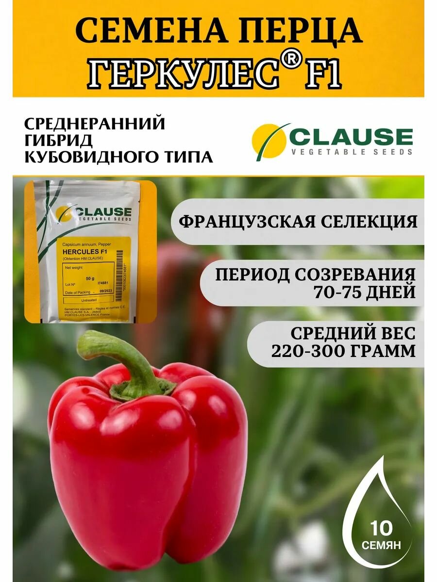Семена перца Геркулес F1 10 штук Clause