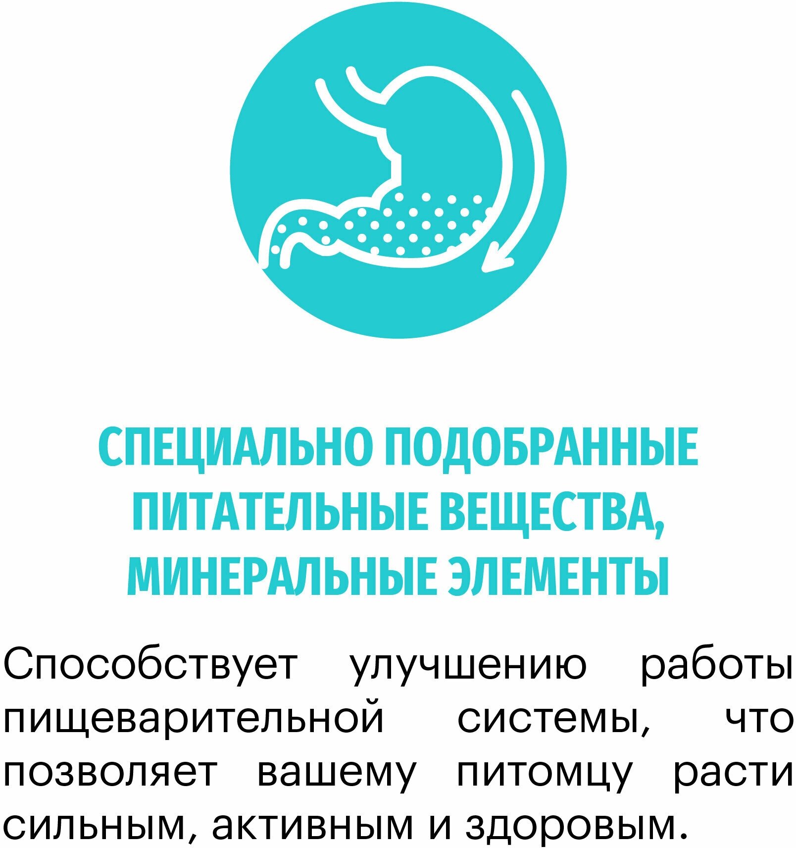 Корм для собак сухой KARMY Hypoallergenic Mini для собак мелких пород с Ягненком 10кг. — фото 1