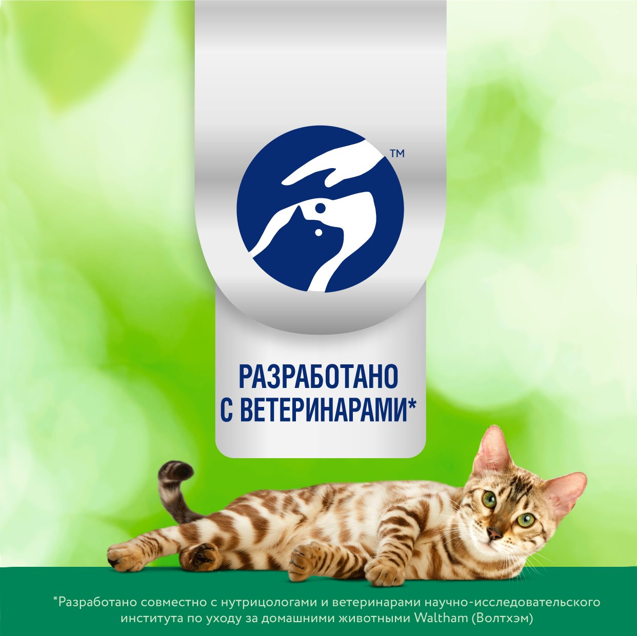 Perfect Fit Immunity корм для иммунитета кошек, говядина, семена льна, голубика, 5,5 кг. - фотография № 17