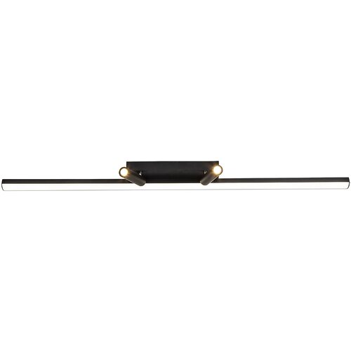 Светильник потолочный Favourite Reticenza 4089-2C, Черный, LED