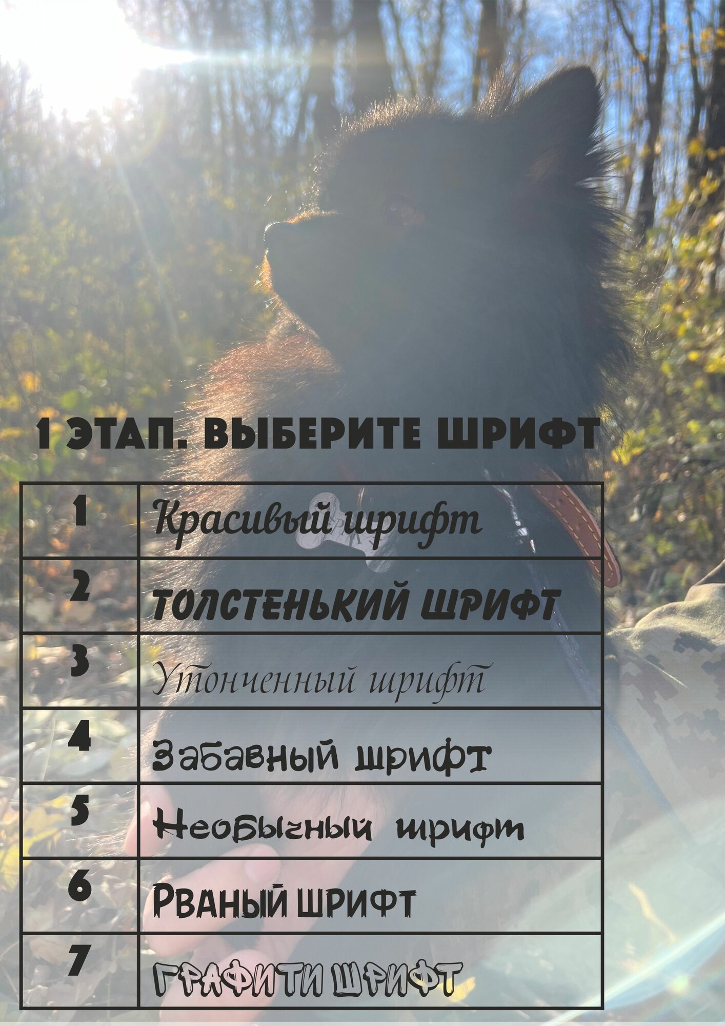 Адресник для небольших собак до 3кг. с лазерной гравировкой (нержавеющая сталь) - фотография № 5