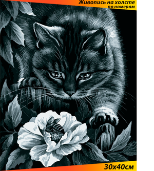 Картина по номерам Белоснежка "Ночные приключения" / Раскраска / Холст на подрамнике 30х40 см. / Животные / Кошка